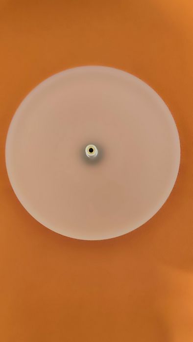 Talerz akrylowy Pro-Ject RPM 1 Carbon