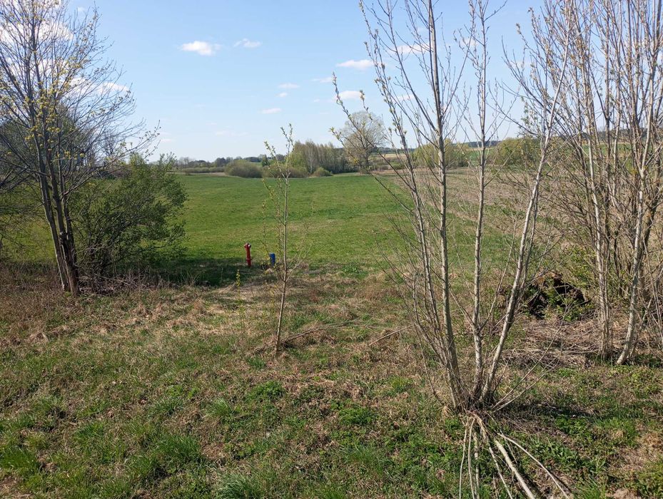 Działka z warunkami zabudowy 1.29 ha
