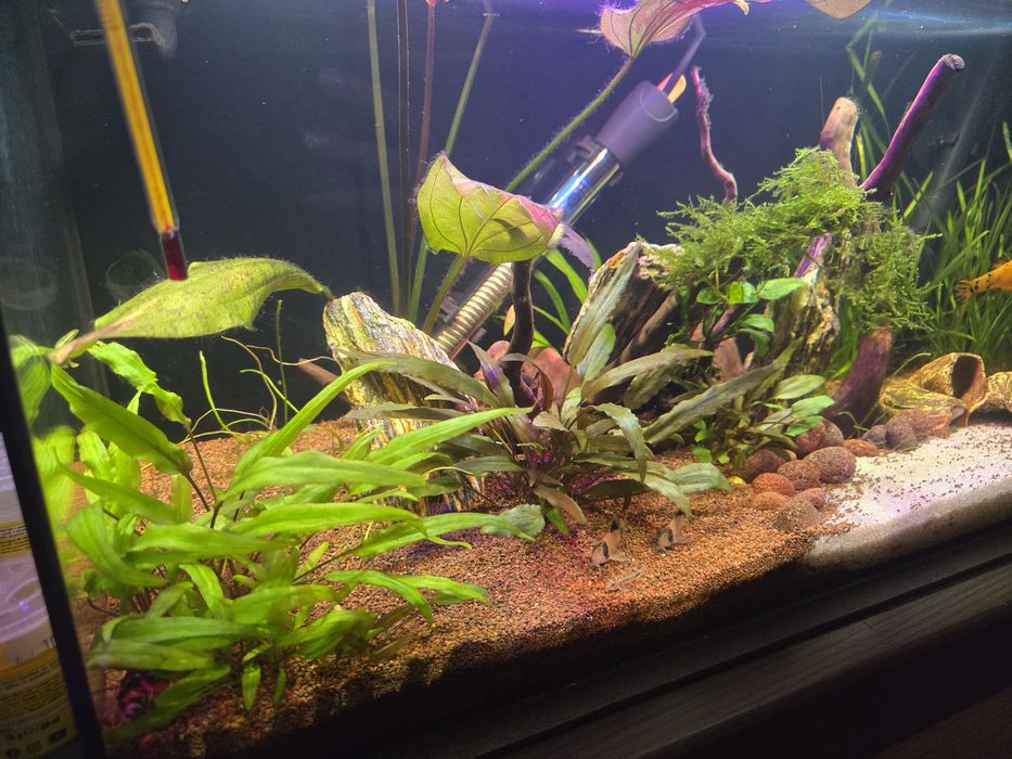 Akwarium 60l sprzedam jak stoi