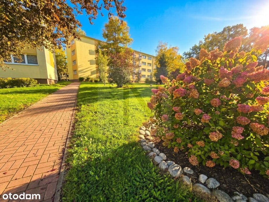 Okazja!!! Uczelnia | 3 Pokoje | Balkon