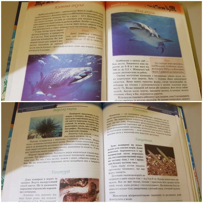 Енциклопед Світ дивовижних тварин Цікаві дивовижні Нова Хочу знати все