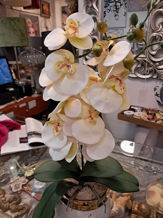 Orquídea altificial