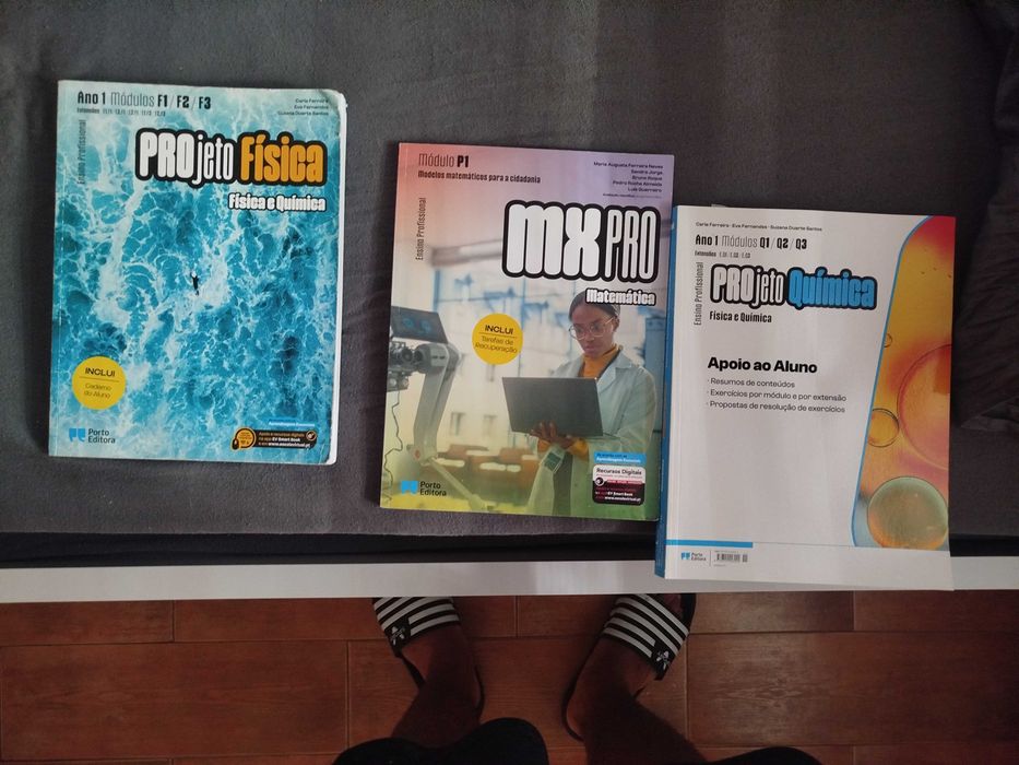 Livros do 10° ano, matemática, português e física e quimica