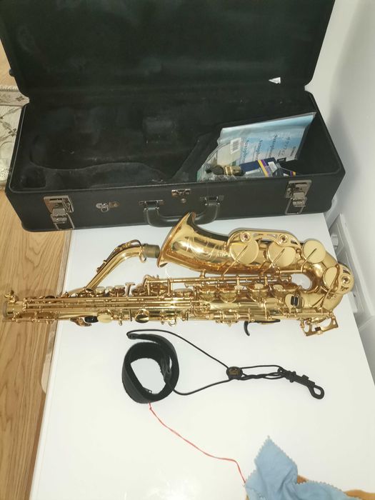Saxofone musica proficional