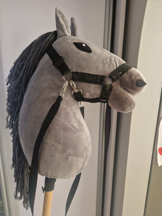 Hobby Horse-koń na kiju