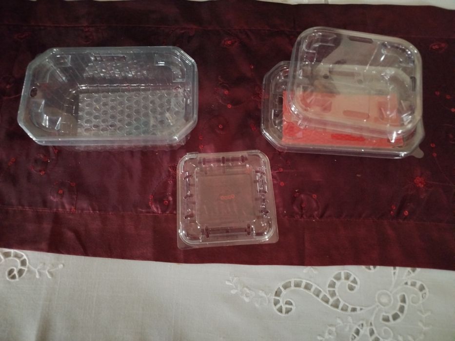 Caixas para mirtilos