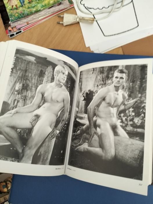 The Male Nude de David Leddick,