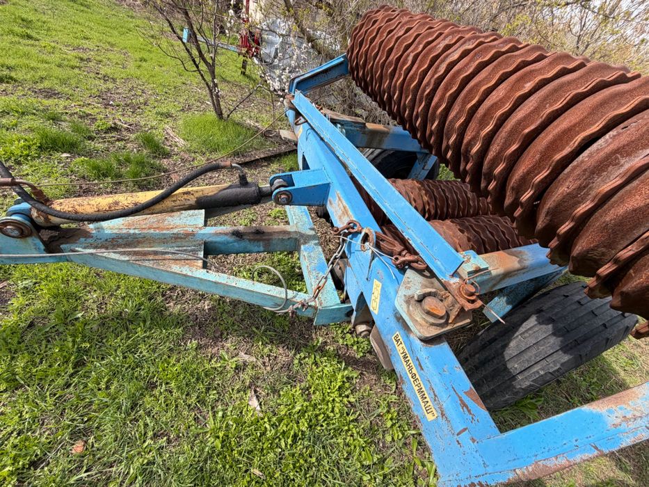 Коток зубчато кільчатий