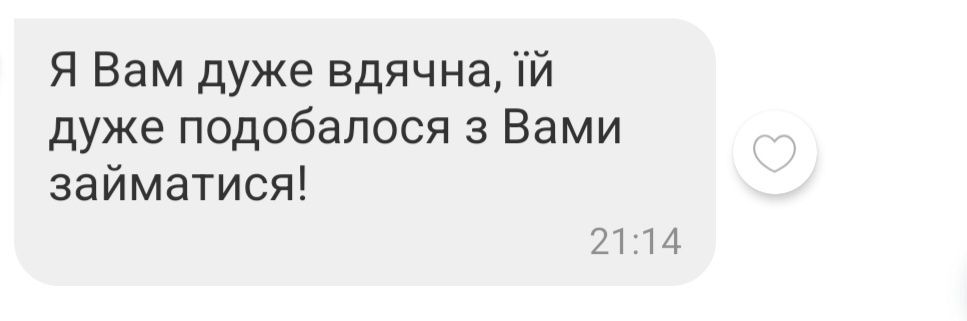 Репетитор для початкових класів