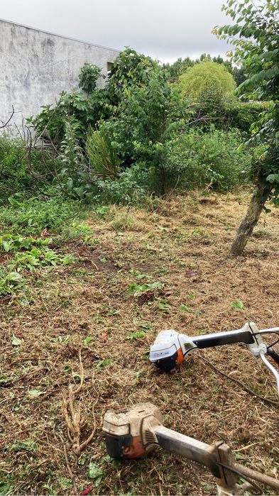 Serviços de jardinagem