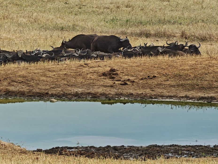 Wkłady Gillette Fusion5 Sport – 6 sztuk oryginalne