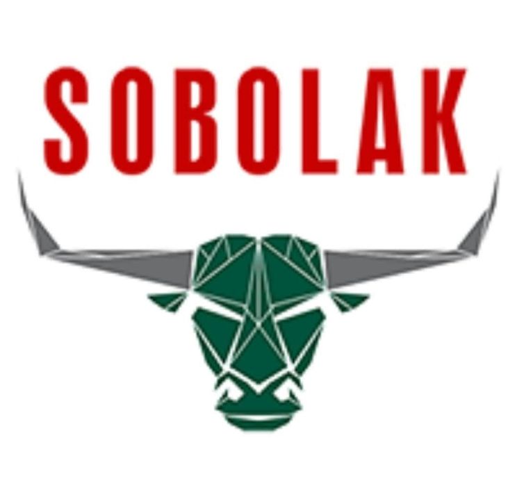 Jałówki jałowice cielne pierwiastki krowy HO. Import.