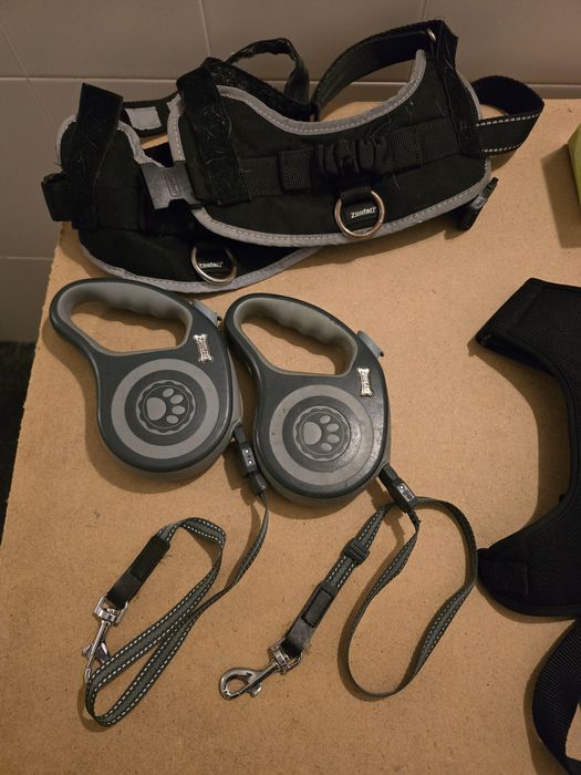 Acessórios e comida para cão