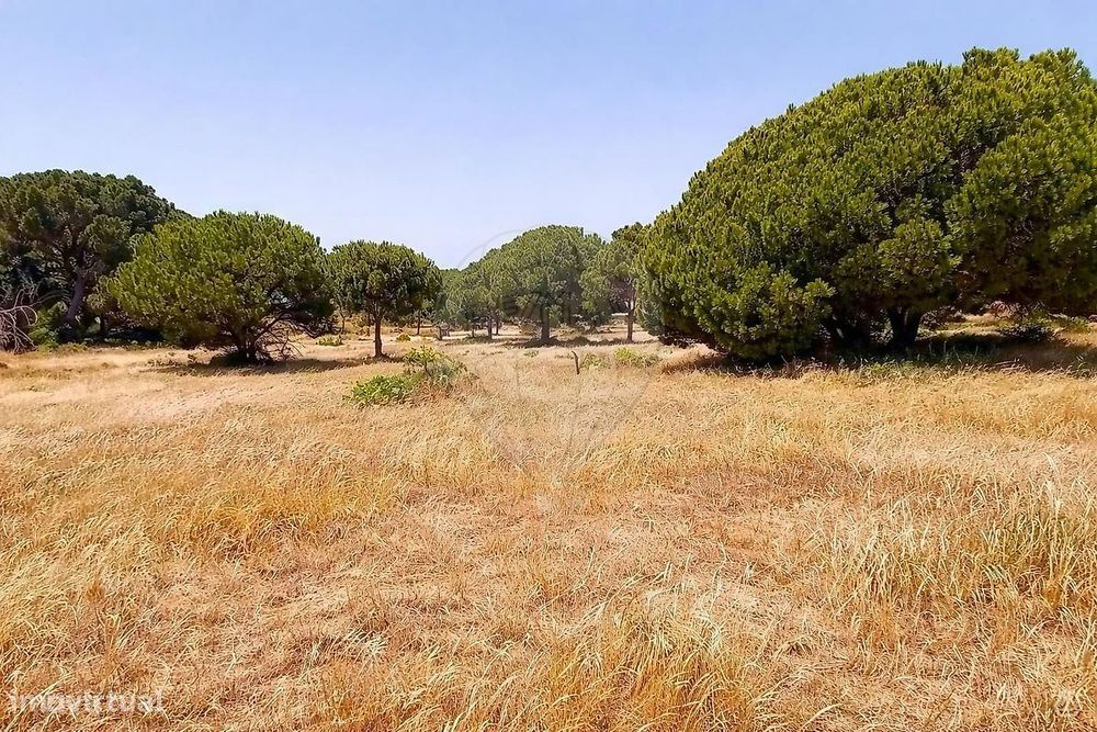 Terreno  para venda