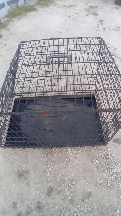 Caixa de transporte animais