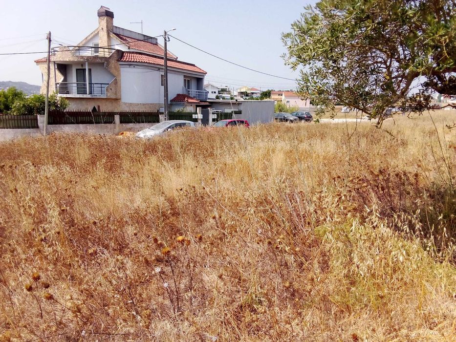 Terreno para Venda em São Julião do Tojal
