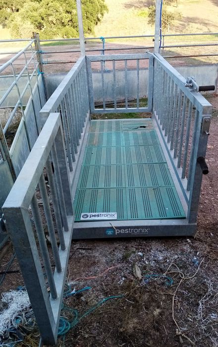 Balança para animais - Pestronix - pesa até 1500 kg