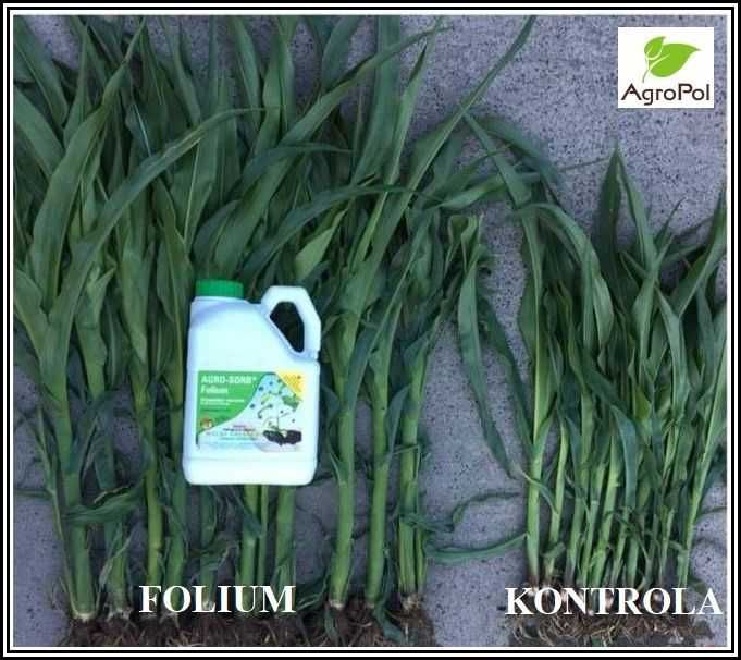 Agro-Sorb FOLIUM 20L Aminokwas Biostymulator Odżywka Nawóz