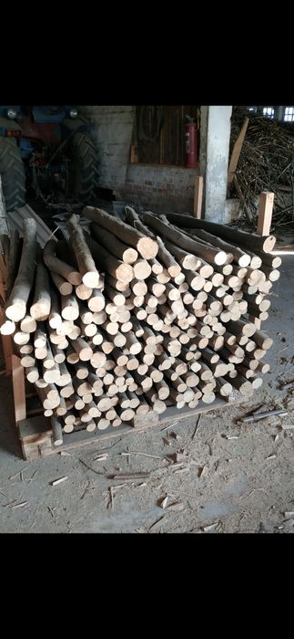 Колики з ліщини, ліщина, ліски, заробіток.