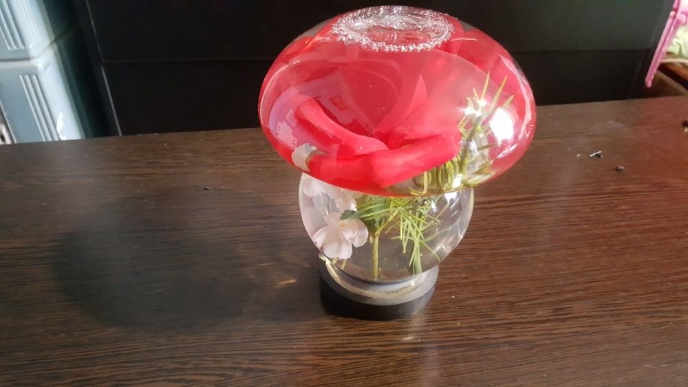 Роза в колбе под стеклом.