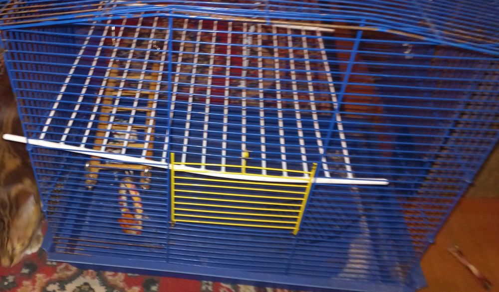 Клетка для крыс, хомяков, морской свинки и т.д для грызунов.