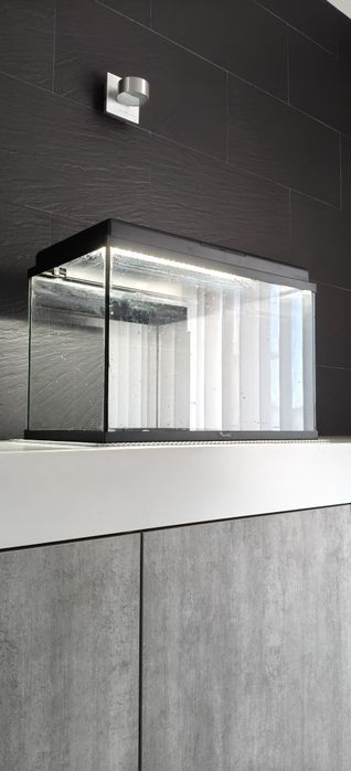 Aquário 60LT com tampa e lâmpada branca Led + filtro + termostato + sifão para retirar água