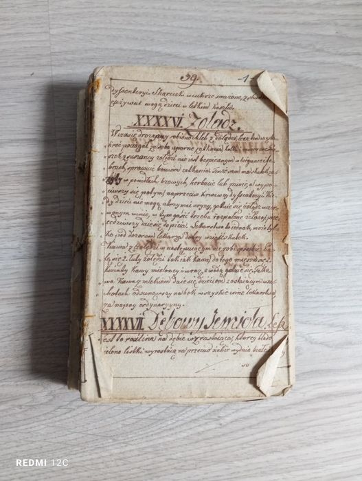 Книга старовинна польською