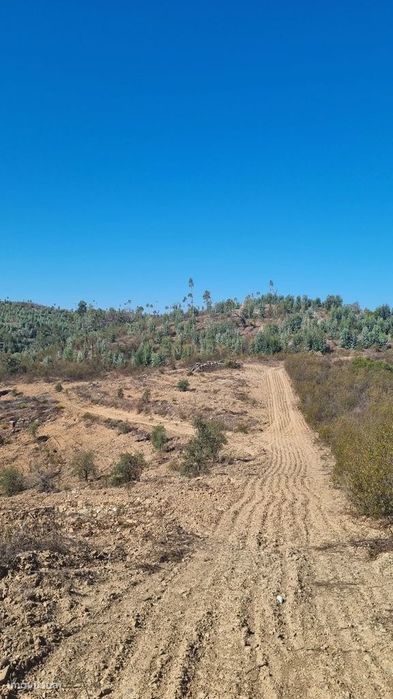 Terreno de 11H - Santana da Serra - Disponível