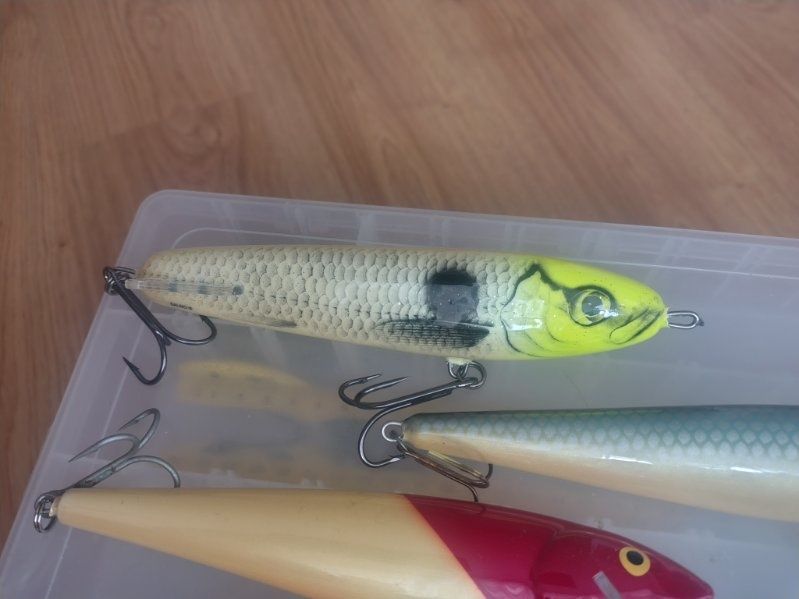 Salmo Whitefish Sweeper Slider