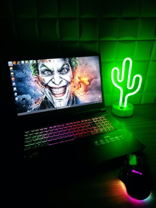 Игровой Nitro 5 17,2" | Ryzen 7-8 ядер|RTX3060|16GB RAM| SSD 512+500 |