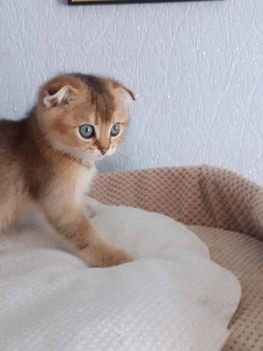 Малючки чекають мам