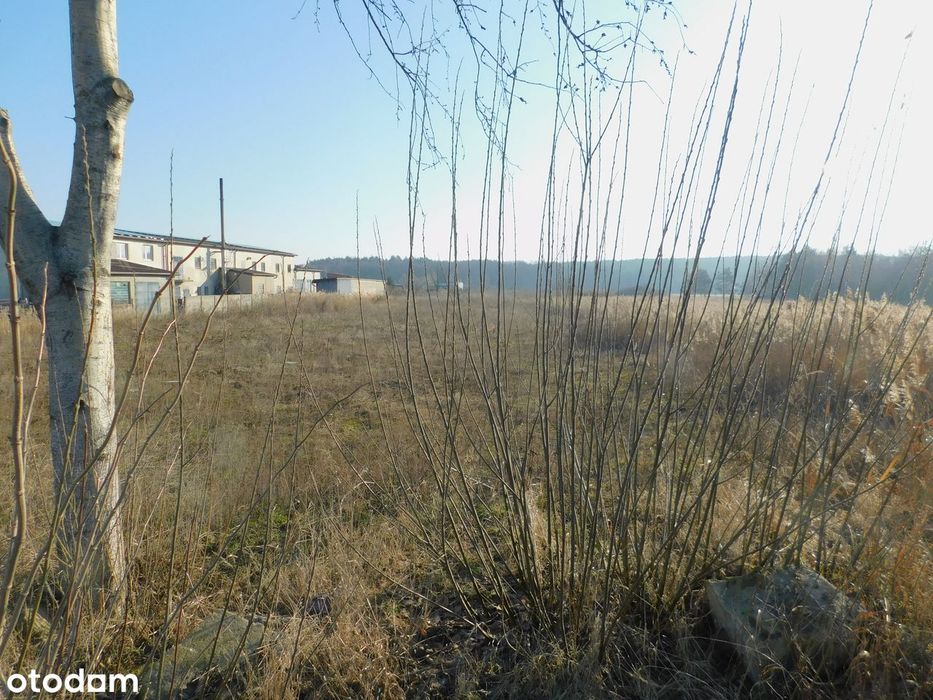 Syndyk sprzeda - Mogielnica, dz. nr 1658 i 1747 - Widok 3