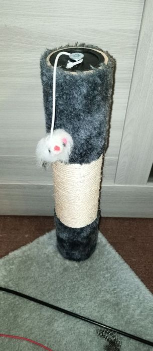 Кошачьи когтеточки