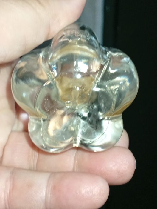 Eau de Toilette lolitalana de mulher todo novo