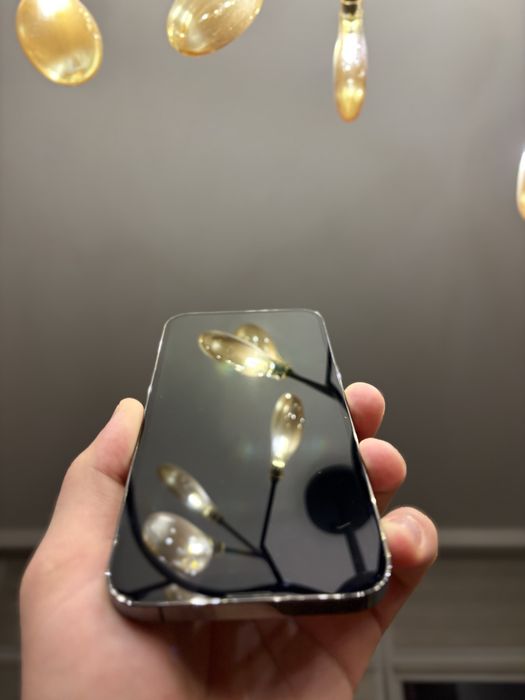 Iphone 13 pro MAX 256 GB  neverlock