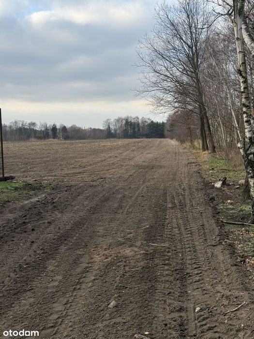 Atrakcyjne Działki , Kozerki gm Grodzisk Mazowiecki - Widok 3