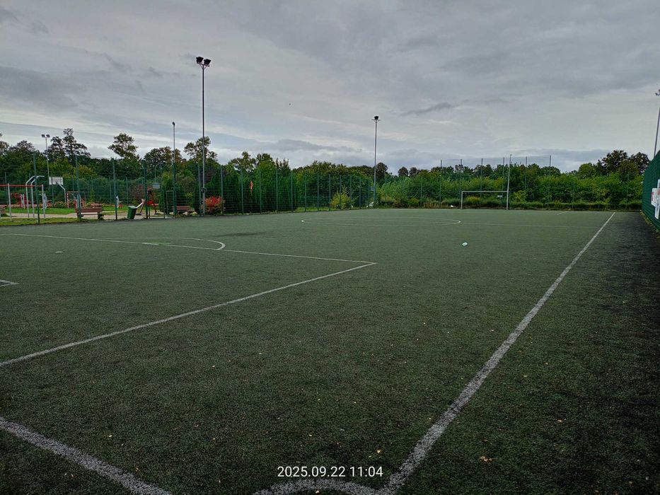 Trawa w rolce. Oddam za darmo