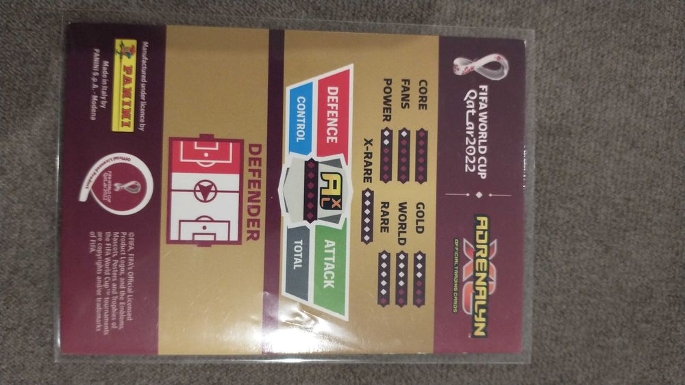 Karta Top Master Van Dijk Qatar 2022 r.