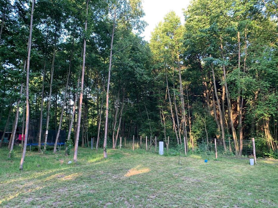 Przejęcie dzierżawy działki 1000 m² + domek holenderski | las | 300 m od jeziora - View 3