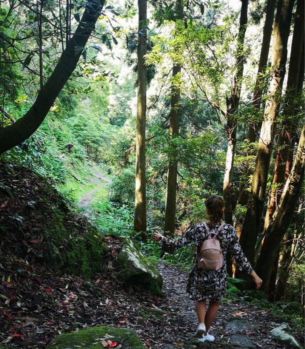Mala - Mochila - Rosa Velho Parfois
