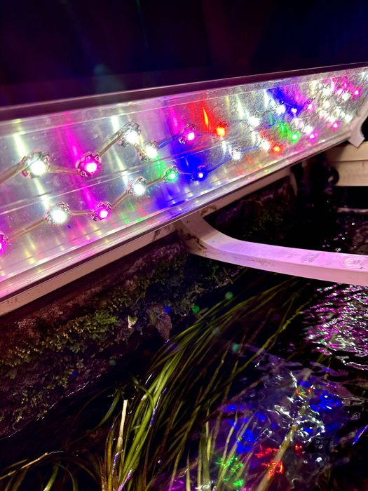 Akwarium Juwel 140L + szafka