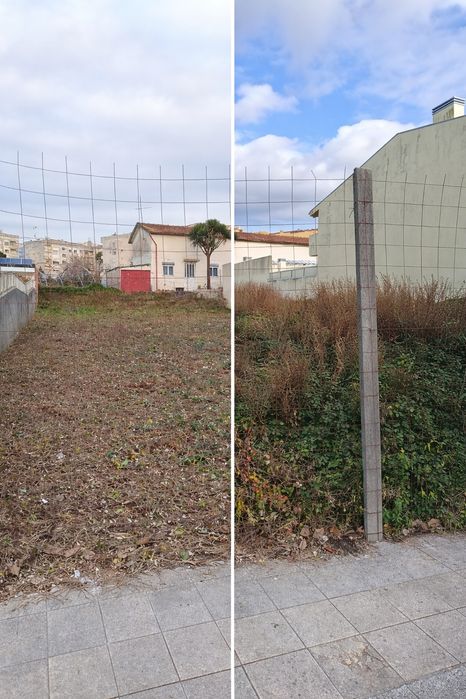 Limpeza terrenos e manutenção jardins