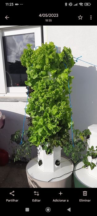 Vendo sistemas de aeroponia