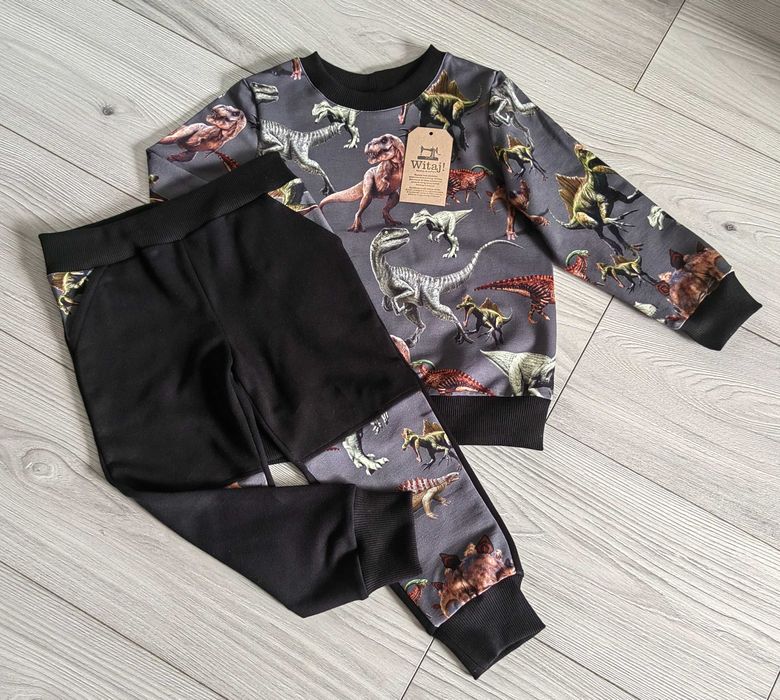 Dres bluza i spodnie dresowe Dinozaury Dinozaur rozm 104/110