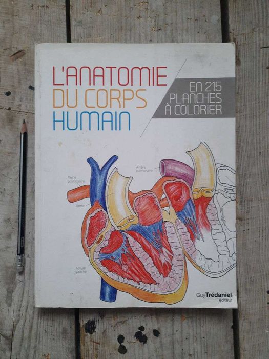 L'anatomie du corps humain / Анатомія (Розмальовка) — 215 планшетів