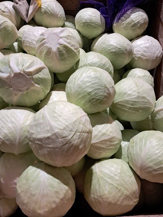 Sprzedam kapustę białą