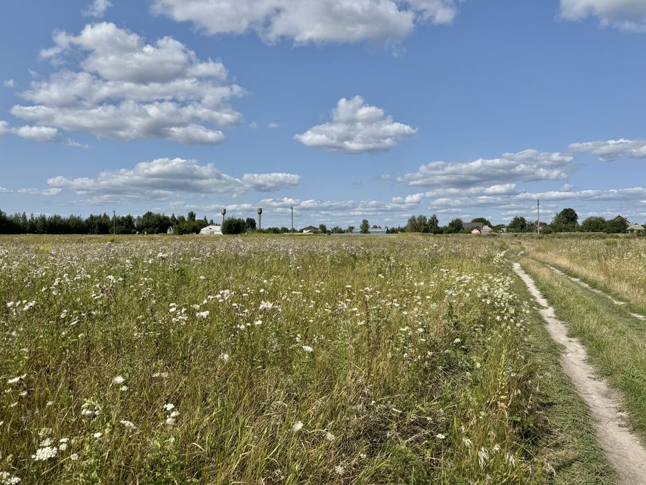 Земельна ділянка 5,9 га! Колонщина!