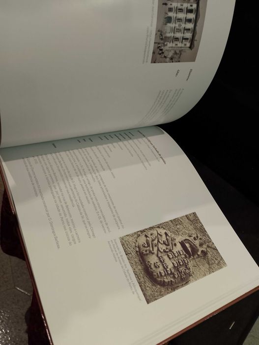 Brasões e Pedras de Armas da Cidade do Porto - Manuel Cunha