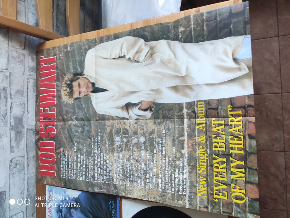 Rod Stewart zestaw 2 płyt winylowych plus plakat