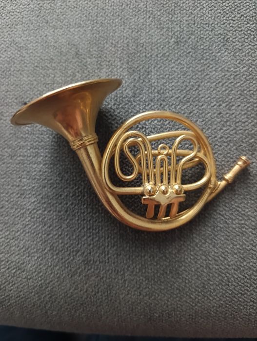 Modelo de trompa dupla em latão miniatura

150 lei